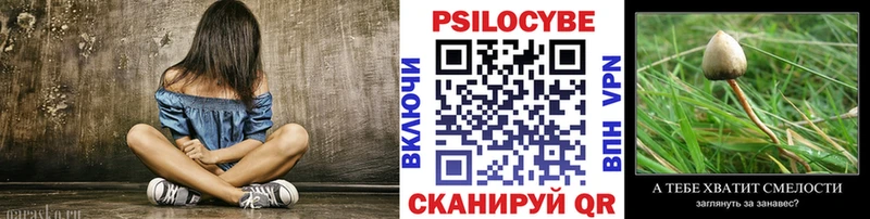 Купить закладки  Обоянь  Галлюциногенные грибы Psilocybine cubensis 